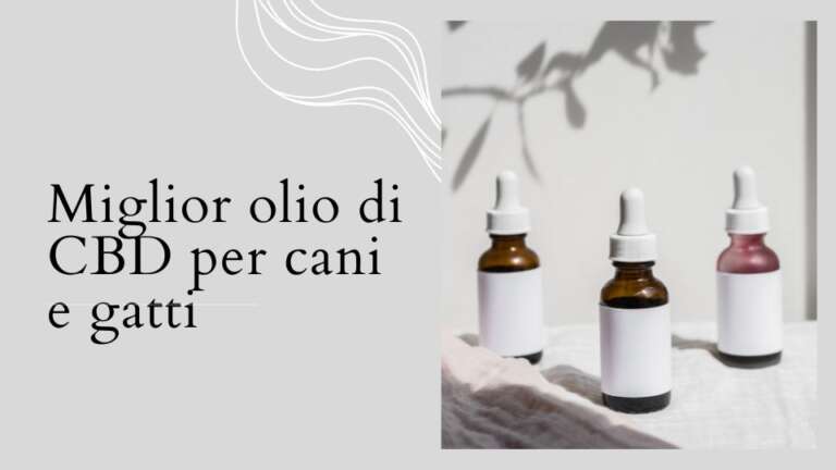 miglior olio cbd cani e gatti
