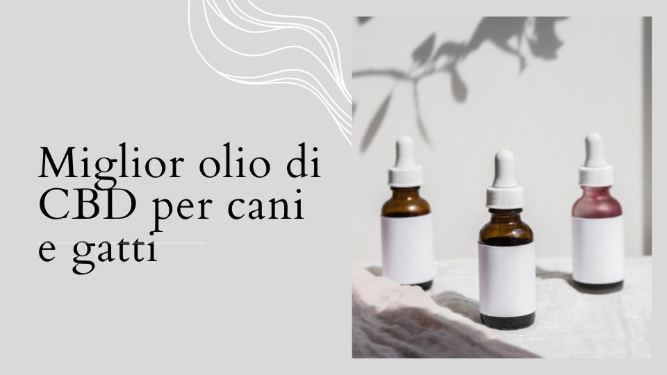 miglior olio cbd cani e gatti